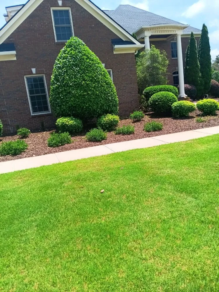 Trusted garden landscaping in Newnan, GA - Tads lawn service