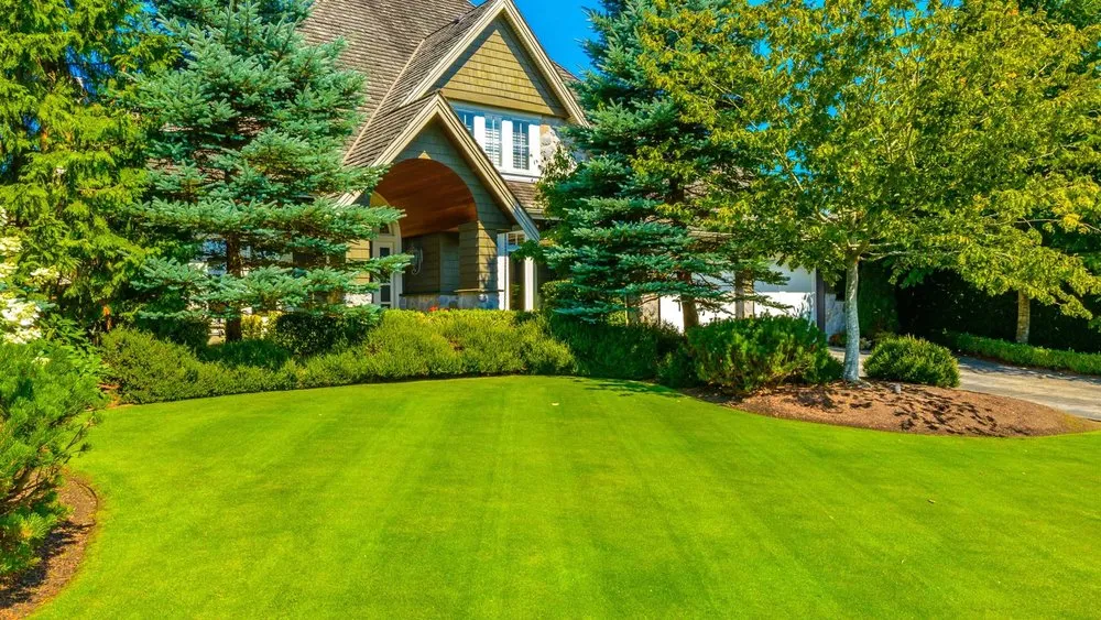 Expert yard maintenance in Cleveland, OH - Tae’s Extra Hands