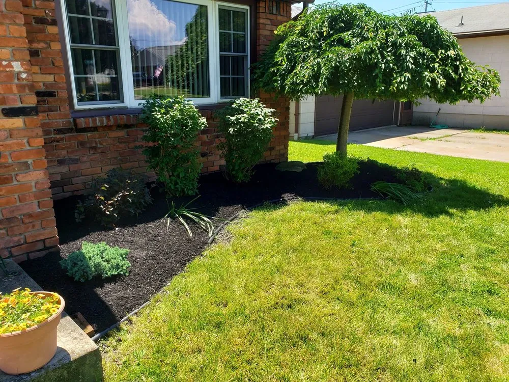 Expert lawn care service in Cleveland, OH - Tae’s Extra Hands