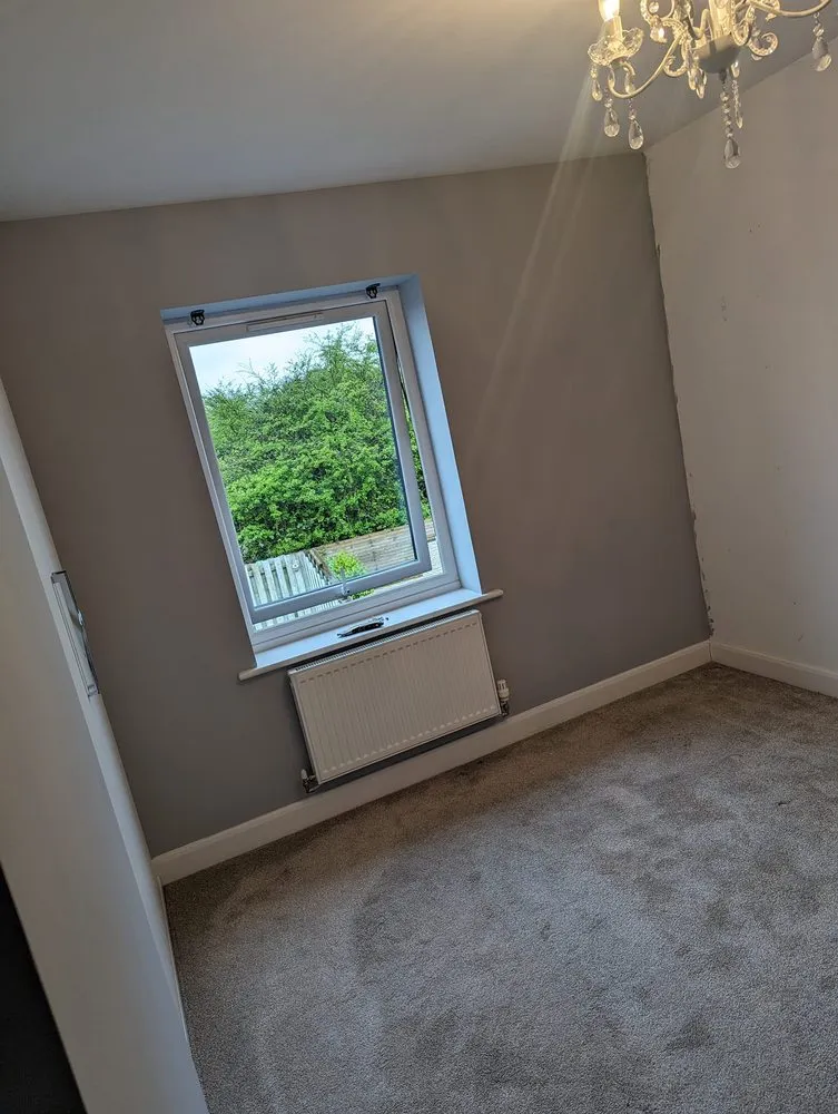 Professional yard cleanup service for year-round maintenance in Cleveland, OH by Tae’s Extra Hands