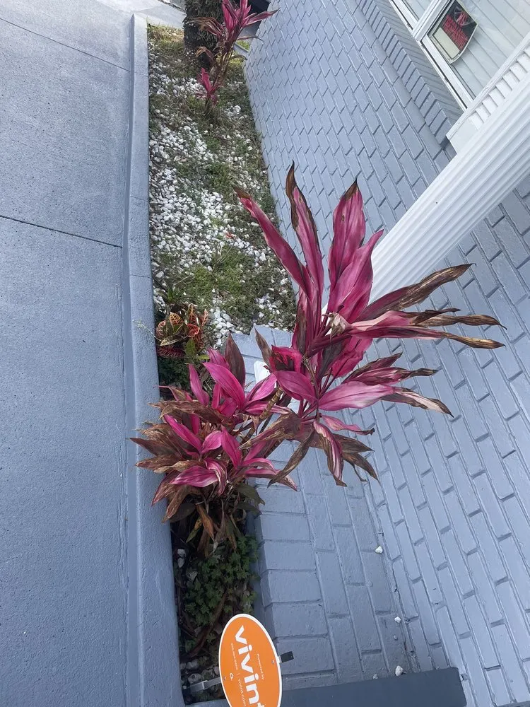 Top-rated garden landscaping in Jacksonville, FL by Taes Precision