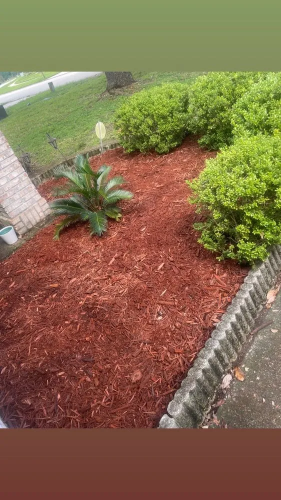Custom landscape design for year-round maintenance across Jacksonville, FL - Taes Precision