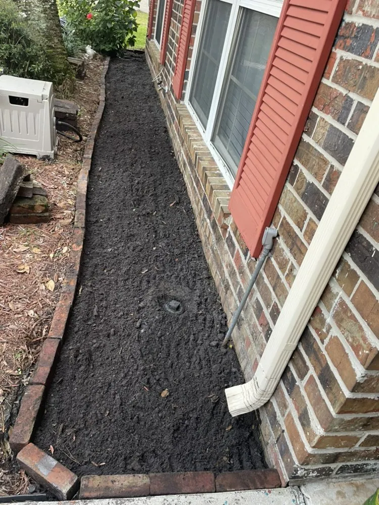 Expert landscaping services in Jacksonville, FL - Taes Precision