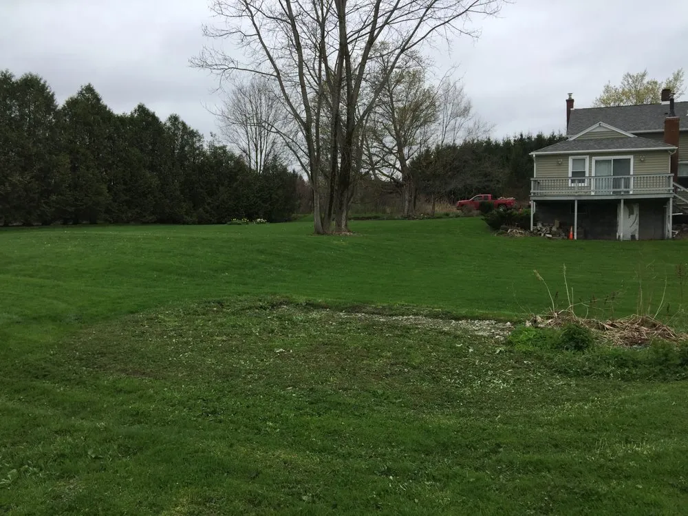 Trusted lawn care service experts serving Syracuse, NY - Taf Companies of CNY