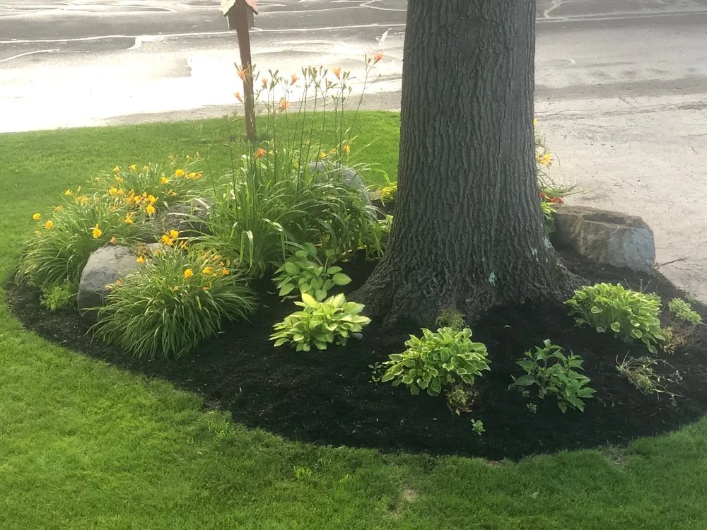 Expert lawn mowing service in Syracuse, NY by Taf Companies of CNY