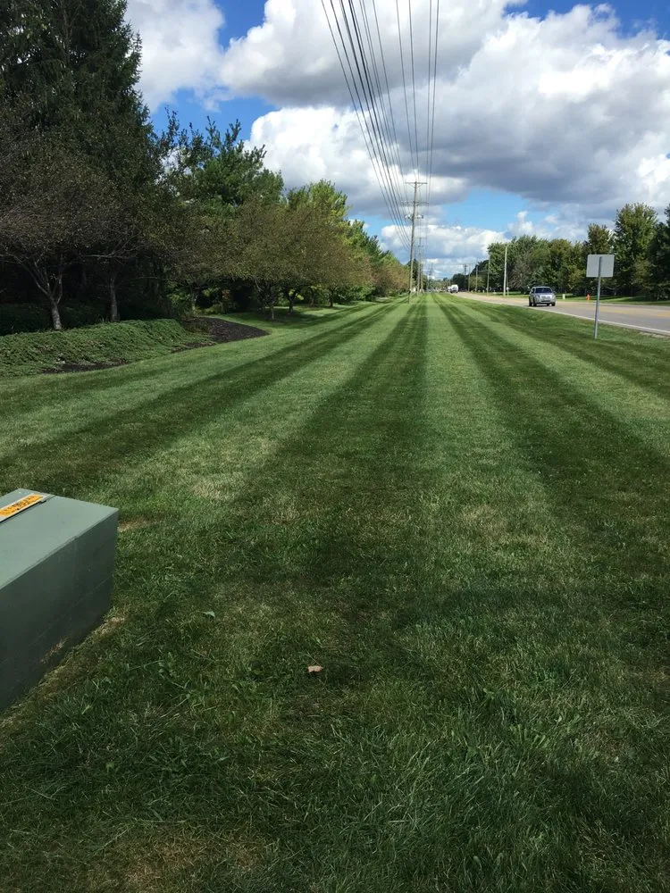 Trusted yard cleanup service for homes across Westerville, OH - TAG Property Landscaping