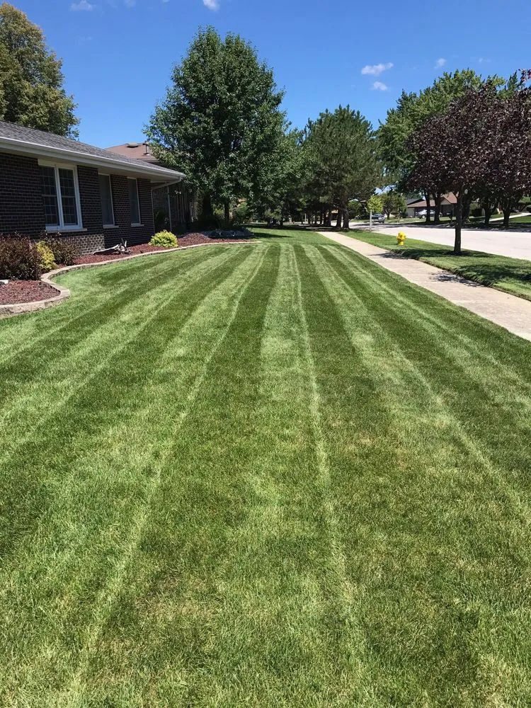 Local lawn mowing service experts serving Bridgeview, IL - TAG Spraying Services