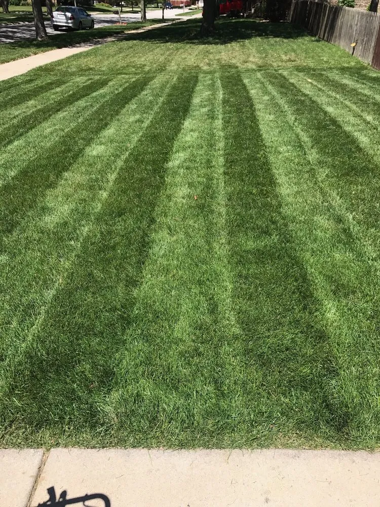 Reliable residential landscaping in Bridgeview, IL by TAG Spraying Services