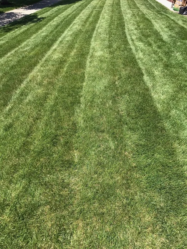 Custom lawn mowing service experts serving Bridgeview, IL - TAG Spraying Services