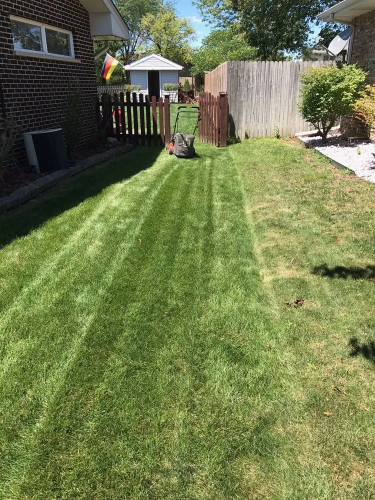 Top-rated lawn mowing service in Bridgeview, IL by TAG Spraying Services