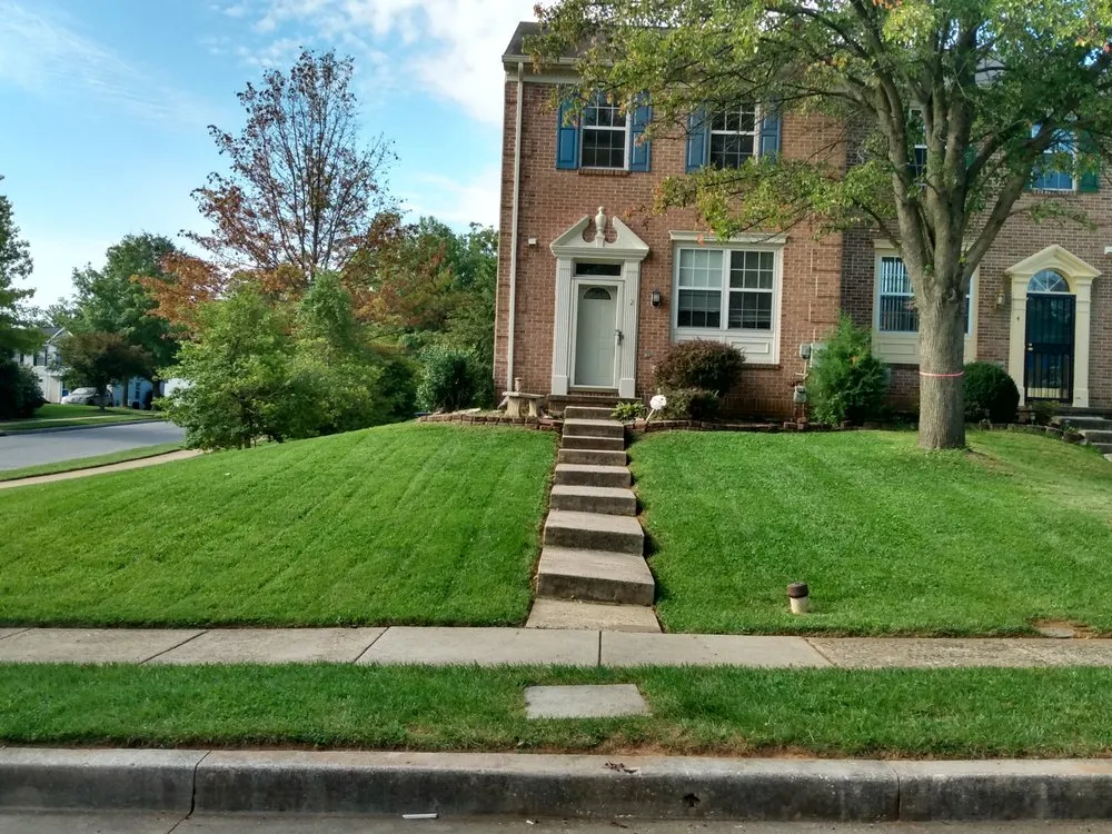 Professional yard cleanup service with custom design in Timonium, MD by Tagalooie Lawn