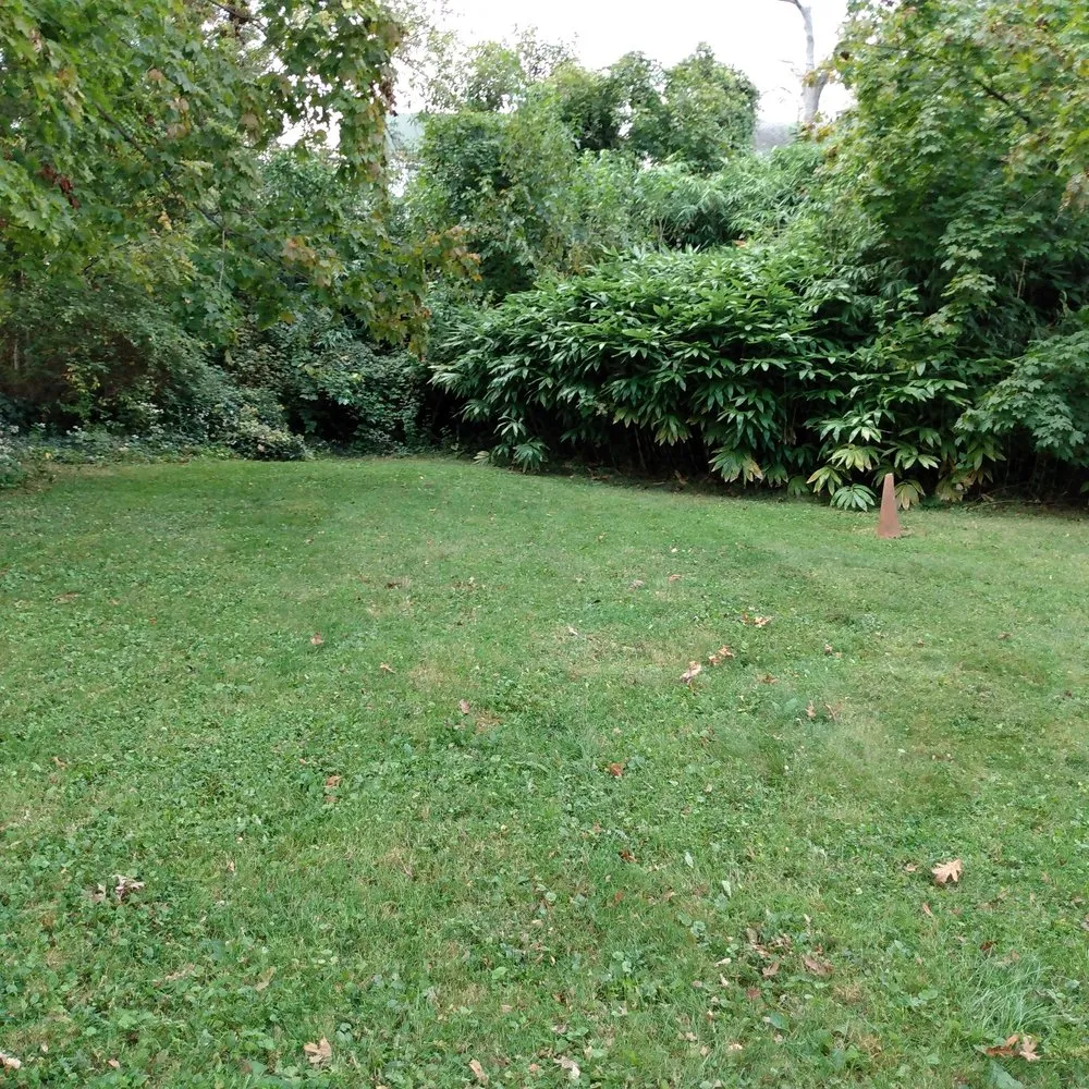 Reliable landscape design in Timonium, MD - Tagalooie Lawn