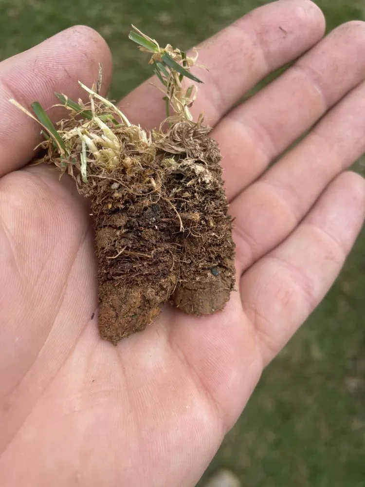 Custom residential landscaping in Boiling Springs, PA by TAGTurf