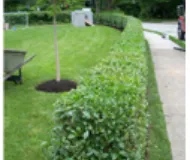 Top-rated outdoor landscaping experts serving Abington, PA - Tague Landscaping