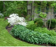 Custom yard maintenance for outdoor upgrades across Abington, PA - Tague Landscaping
