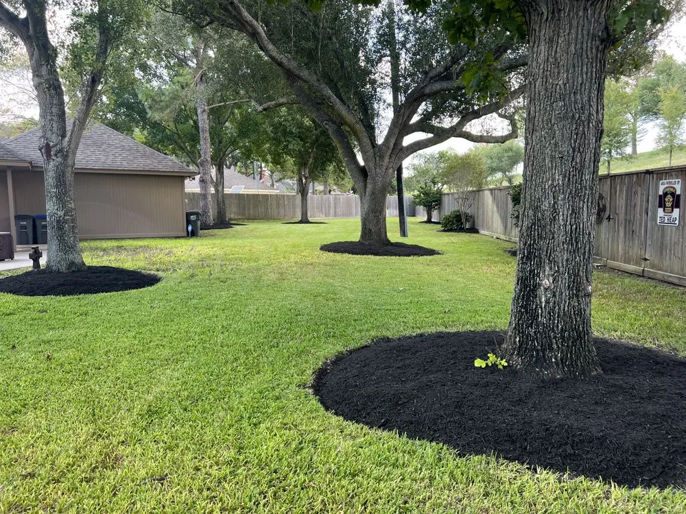 Professional yard maintenance near you in Katy, TX by Tahay Lawn Services