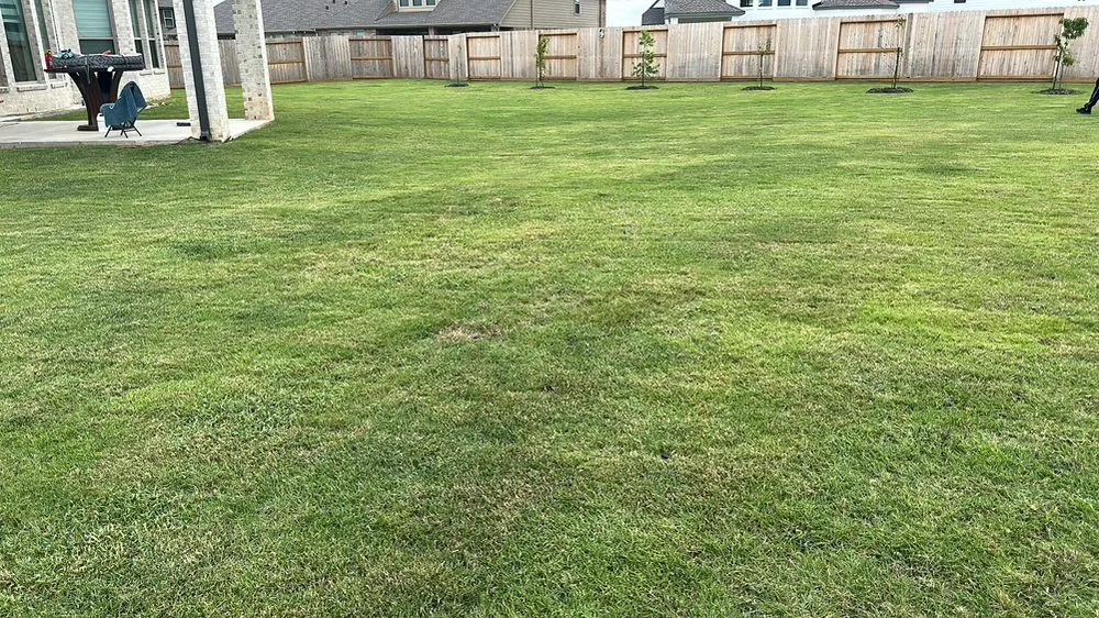 Reliable yard maintenance experts serving Katy, TX - Tahay Lawn Services