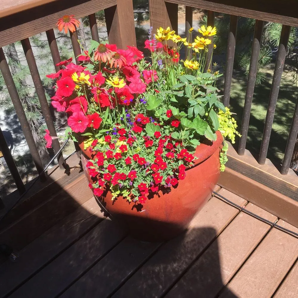 Trusted landscape design for residential properties across Reno, NV - Tahoe Floral Design