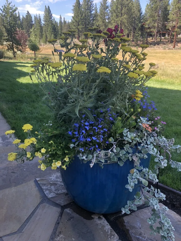 Professional residential landscaping with custom design in Reno, NV by Tahoe Floral Design