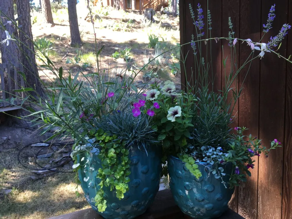 Affordable lawn mowing service experts serving Reno, NV - Tahoe Floral Design