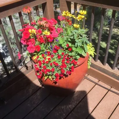 Tahoe Floral Design Logo