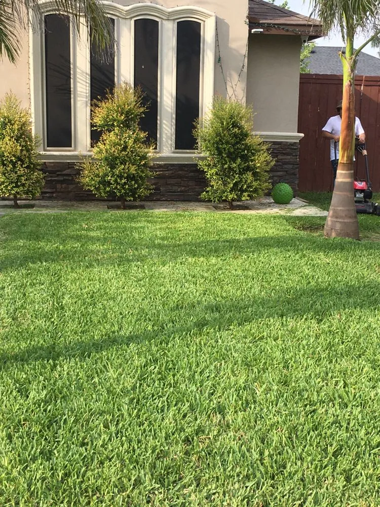 Custom residential landscaping experts serving Pharr, TX - Tahoe Lawn Service