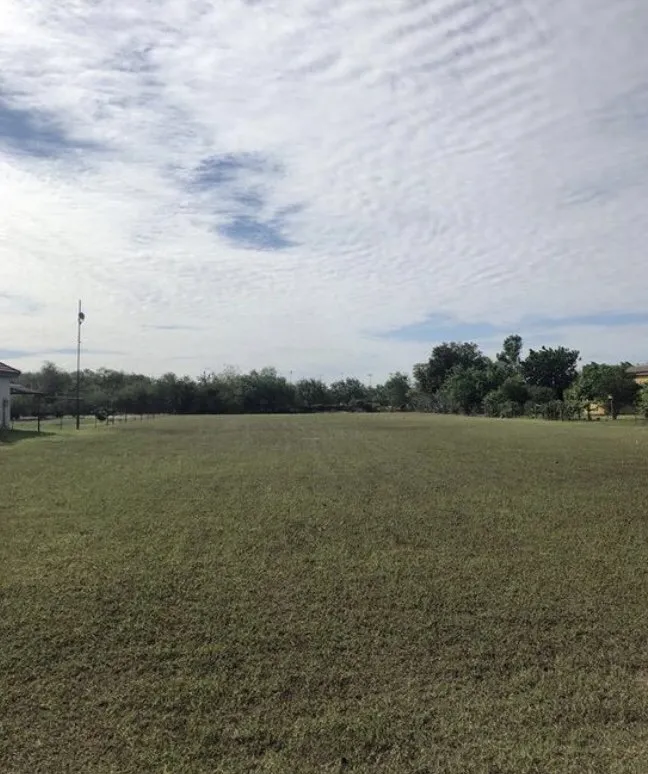 Custom lawn mowing service experts serving Pharr, TX - Tahoe Lawn Service