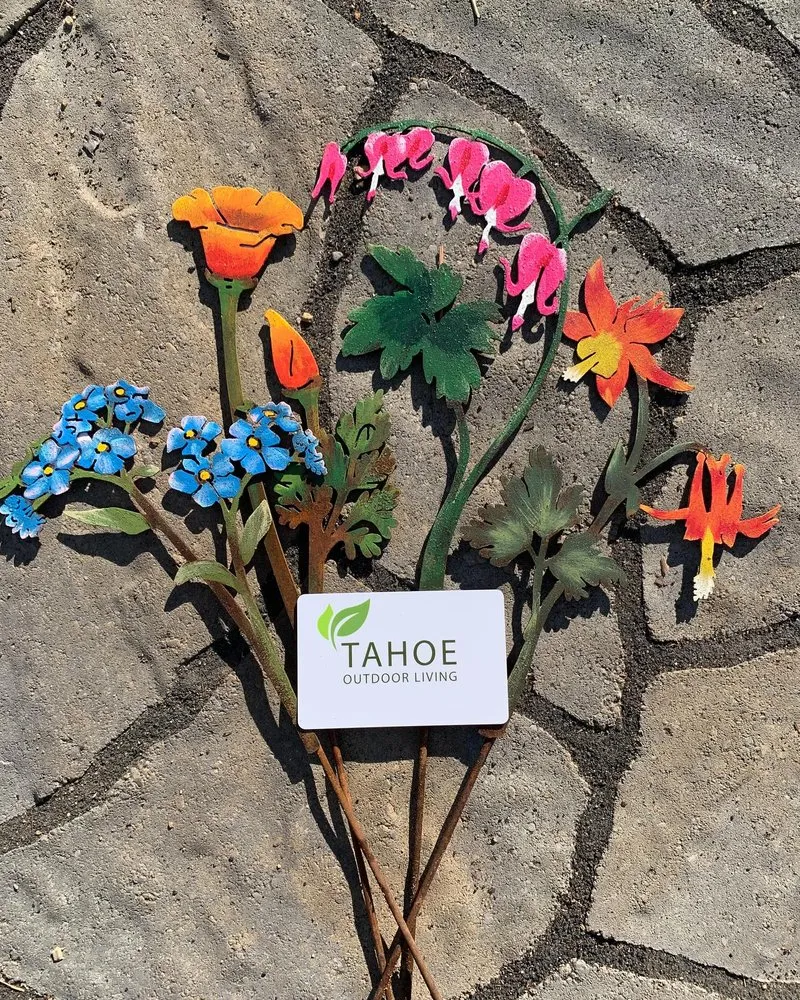 Top-rated residential landscaping for beautiful yards across South Lake Tahoe, CA - Tahoe Outdoor Living