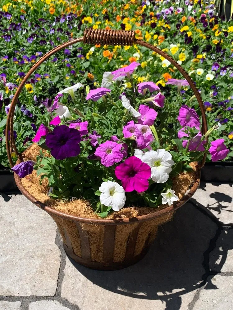 Top-rated outdoor landscaping with custom design across South Lake Tahoe, CA - Tahoe Outdoor Living