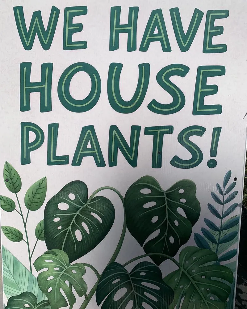 Trusted yard maintenance experts serving South Lake Tahoe, CA - Tahoe Outdoor Living