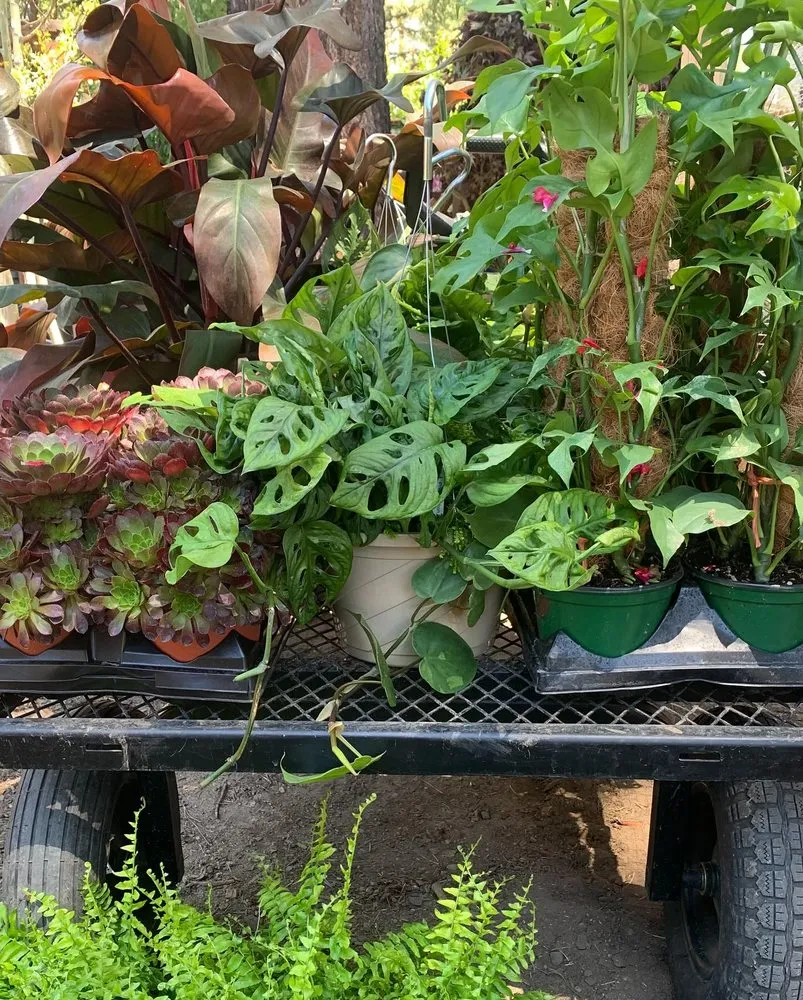 Affordable garden landscaping experts serving South Lake Tahoe, CA - Tahoe Outdoor Living