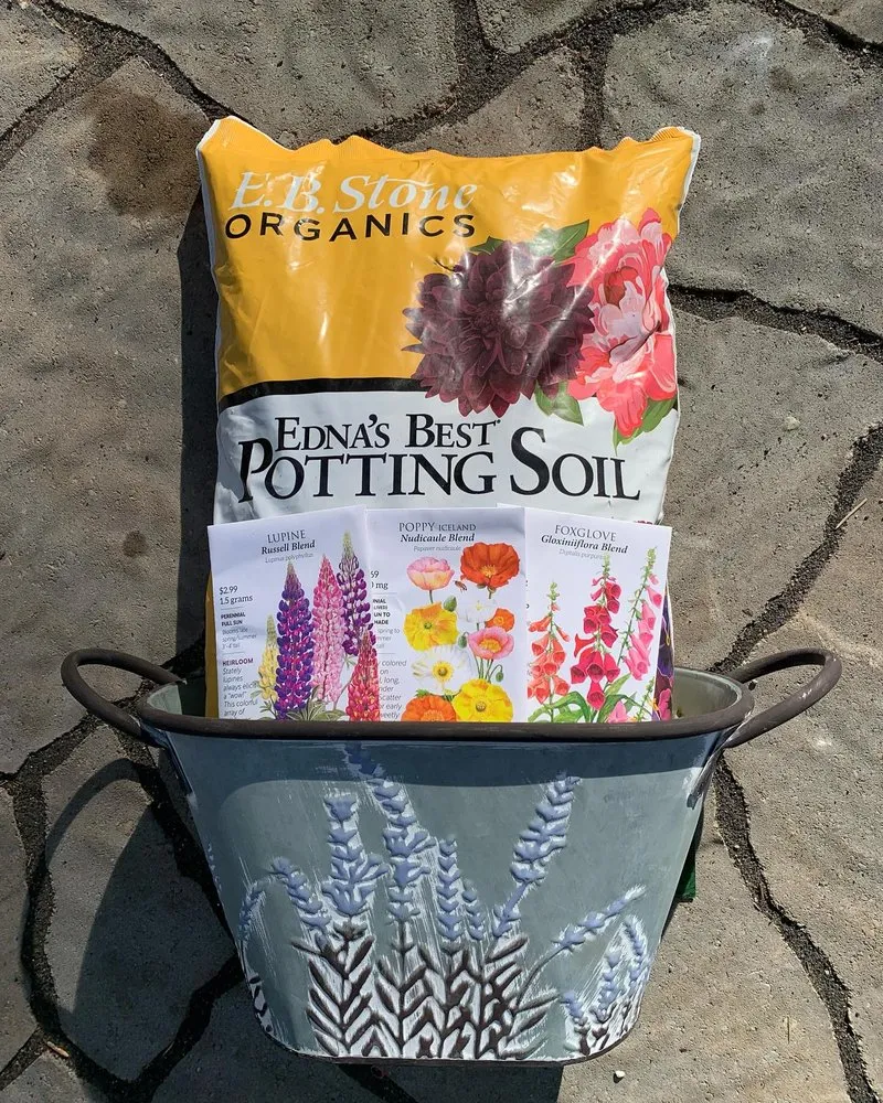 Top-rated landscape design in South Lake Tahoe, CA by Tahoe Outdoor Living