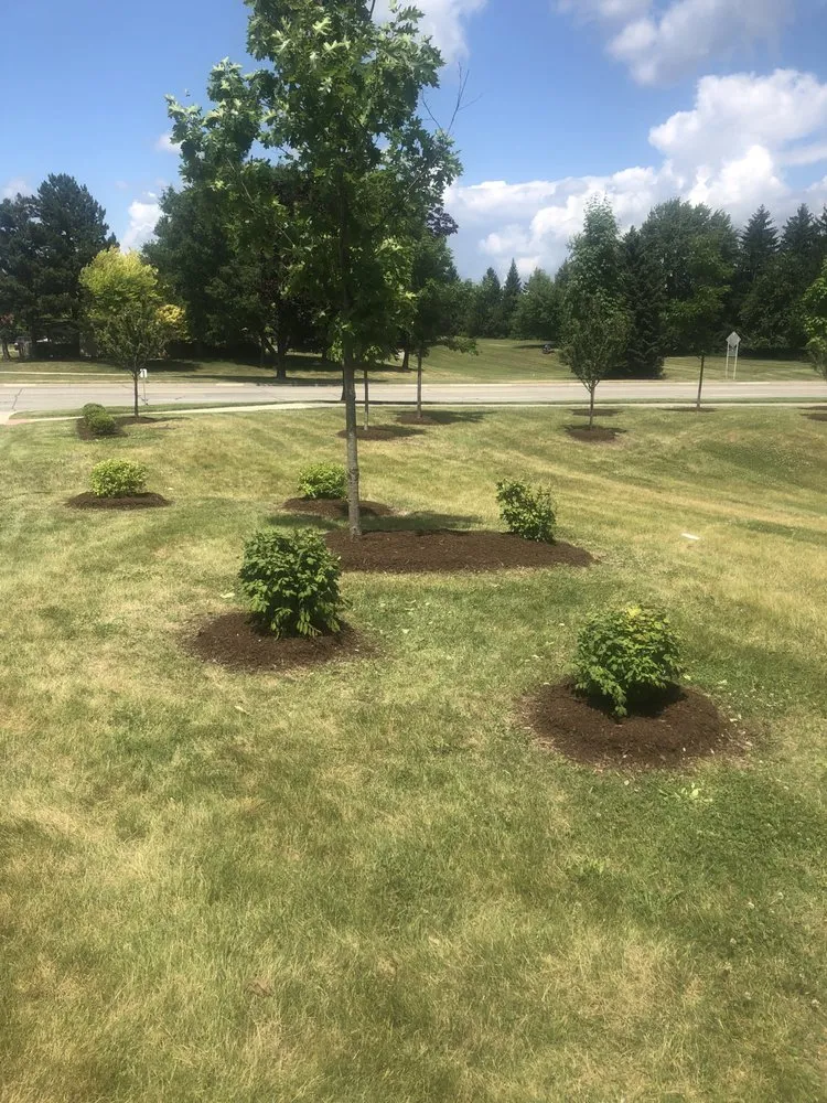 Professional landscape installation in Covington, WA - Tahoma Residential Services