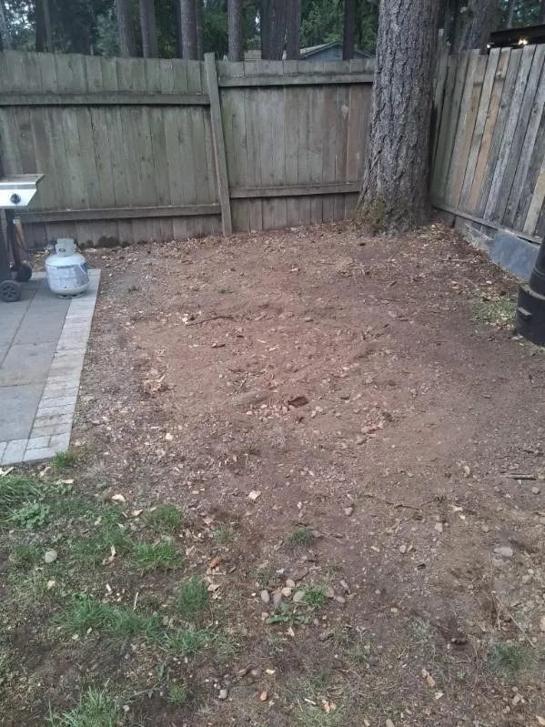 Top-rated residential landscaping experts serving Covington, WA - Tahoma Residential Services