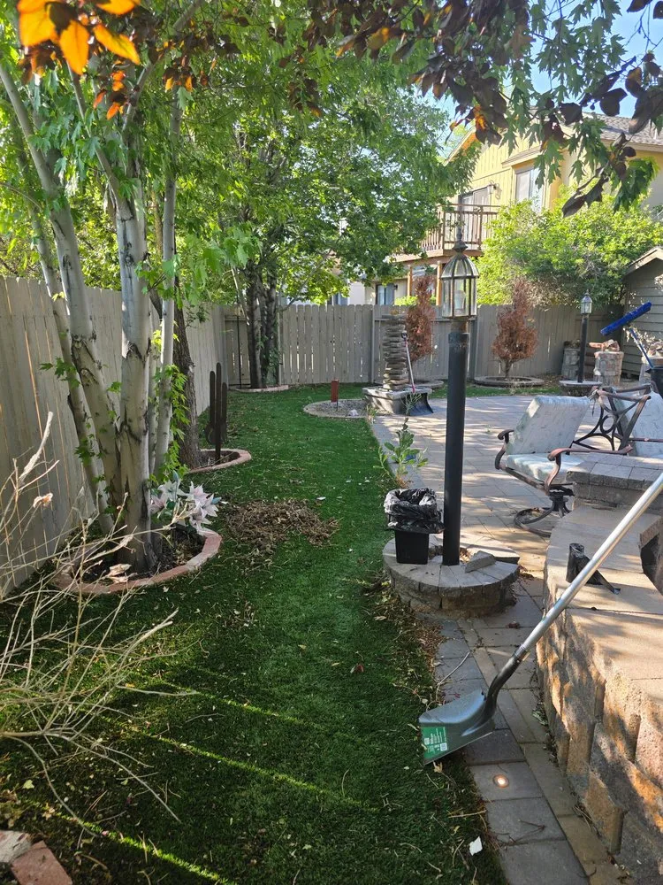 Top-rated yard cleanup service in Reno, NV - Tail Wagging Poop Patrol