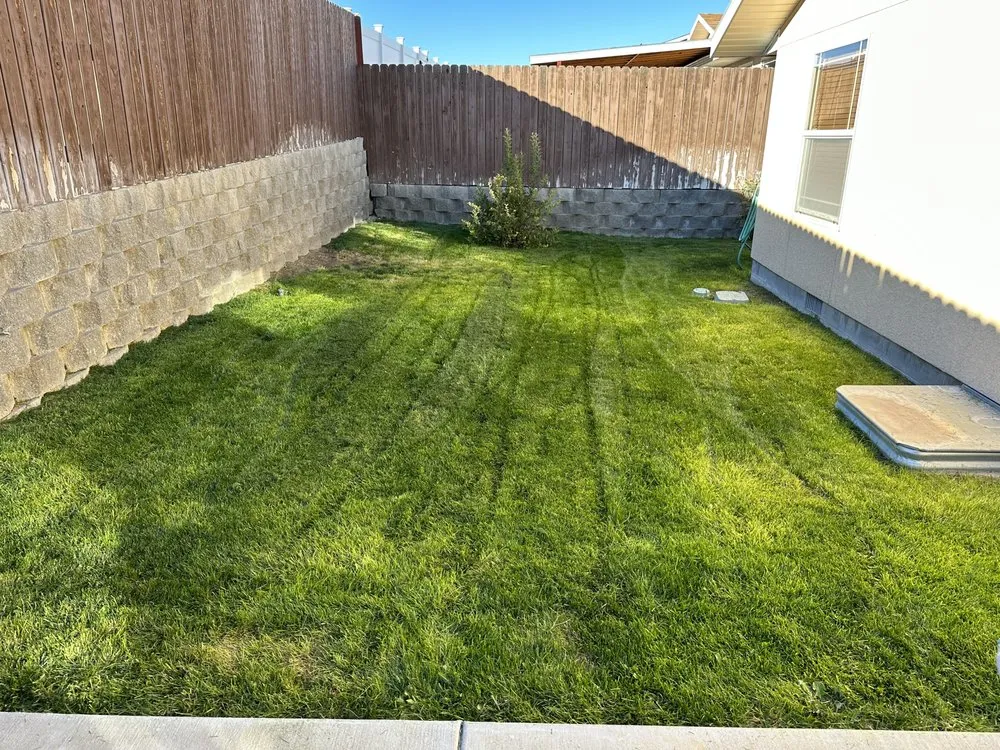 Local residential landscaping experts serving Reno, NV - Tail Wagging Poop Patrol