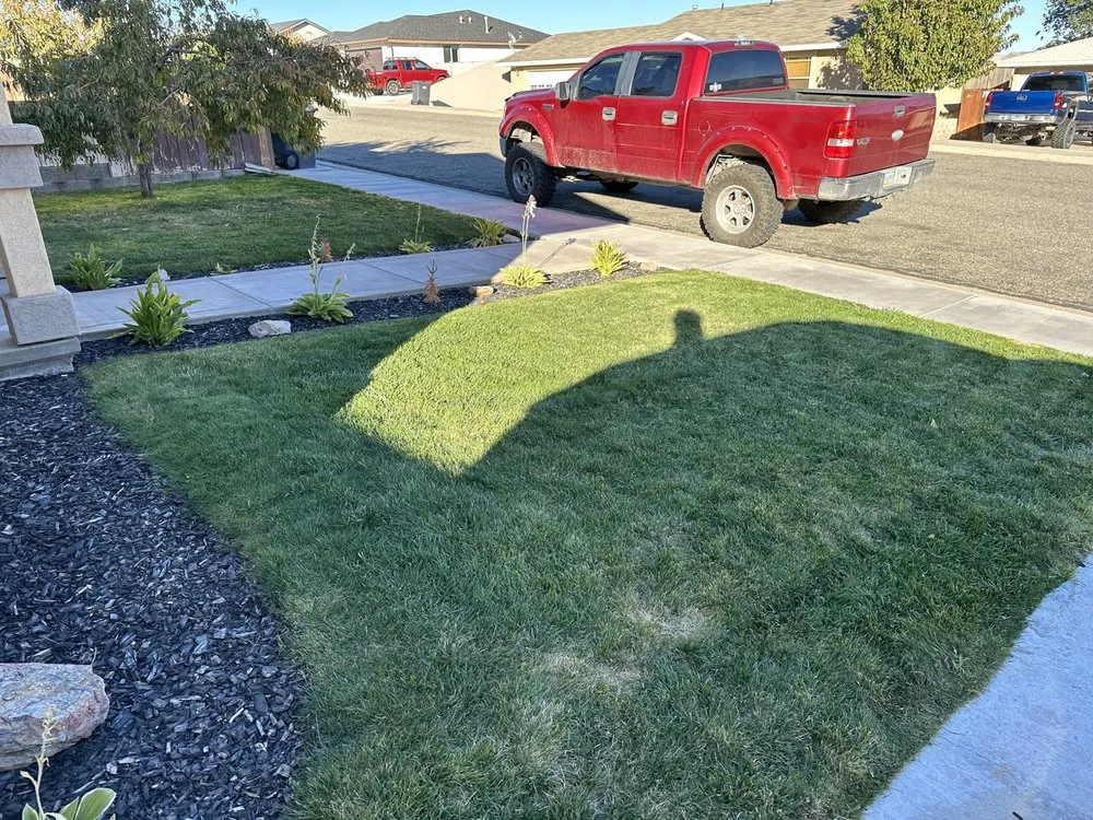 Top-rated residential landscaping for homes across Reno, NV - Tail Wagging Poop Patrol