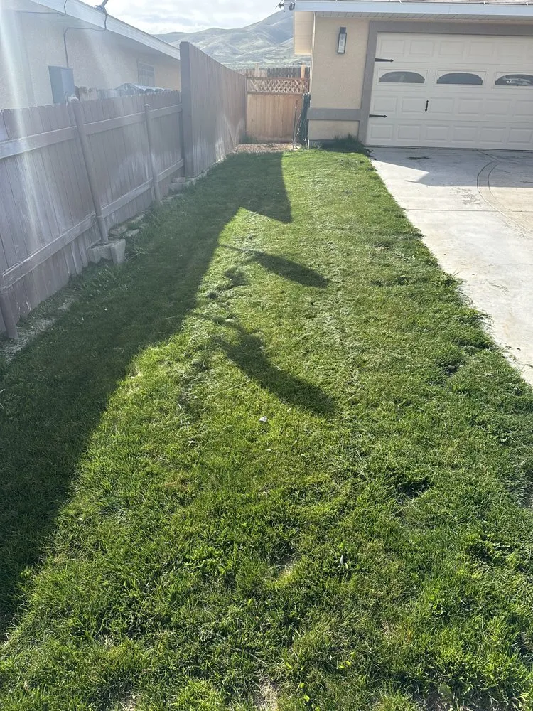 Top-rated garden landscaping experts serving Reno, NV - Tail Wagging Poop Patrol