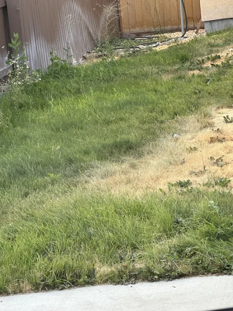 Expert lawn mowing service for homes across Reno, NV - Tail Wagging Poop Patrol