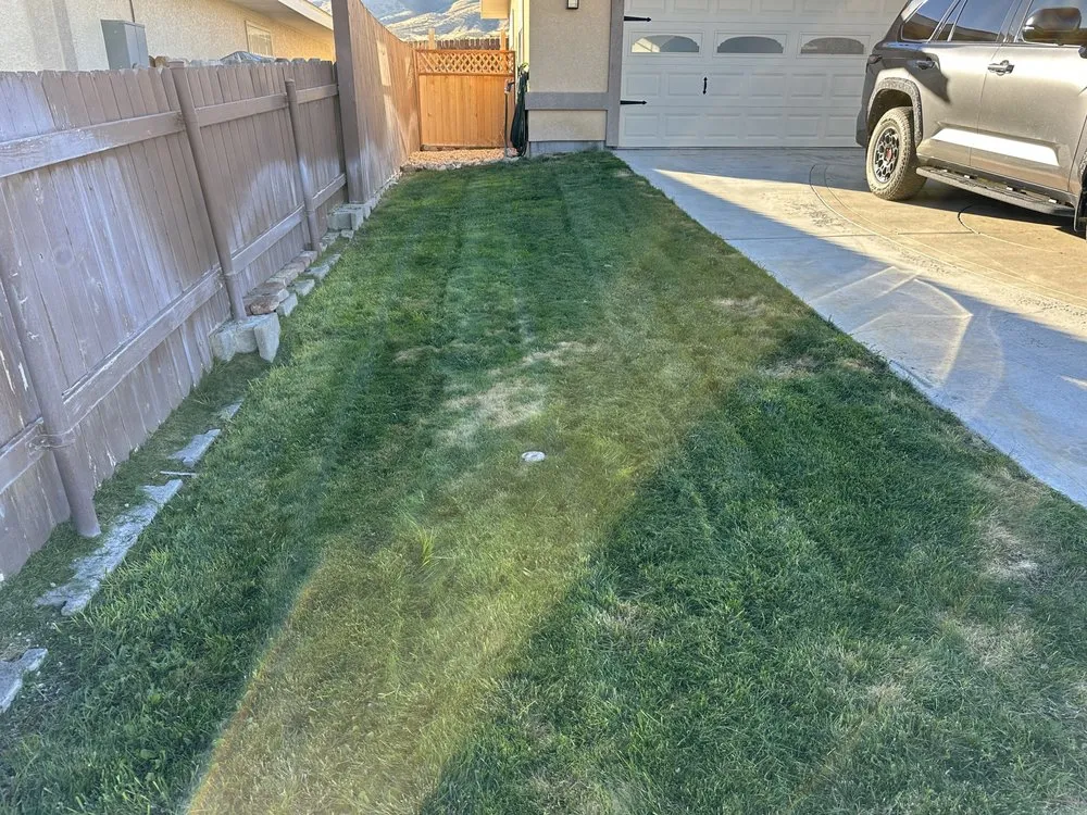 Professional lawn mowing service near you across Reno, NV - Tail Wagging Poop Patrol