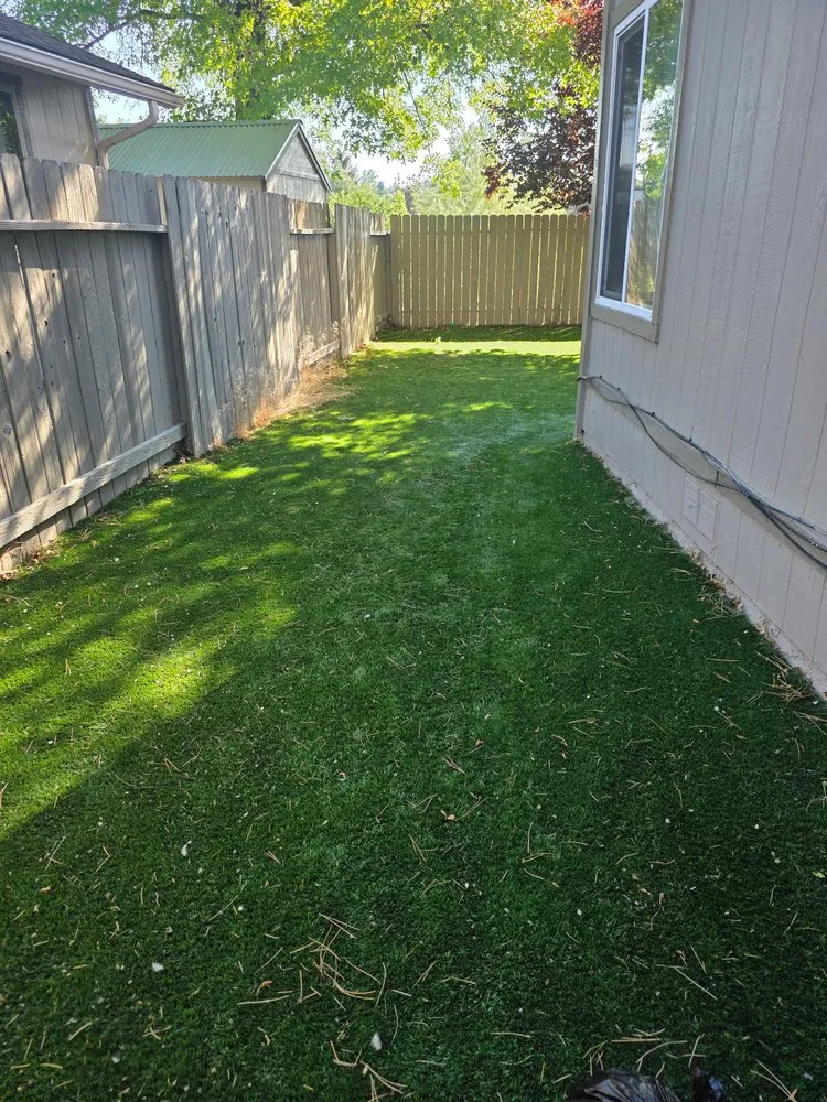 Top-rated residential landscaping in Reno, NV - Tail Wagging Poop Patrol