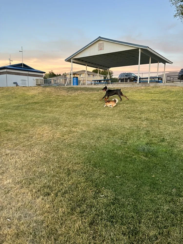 Top-rated landscape design for year-round maintenance in Reno, NV by Tail Wagging Poop Patrol