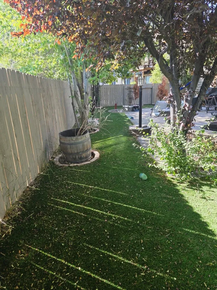 Professional yard cleanup service for homes in Reno, NV by Tail Wagging Poop Patrol