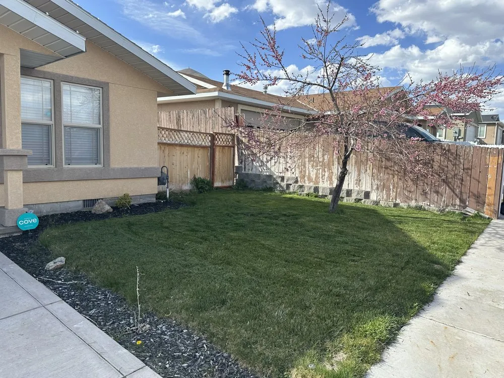 Trusted yard maintenance in Reno, NV - Tail Wagging Poop Patrol
