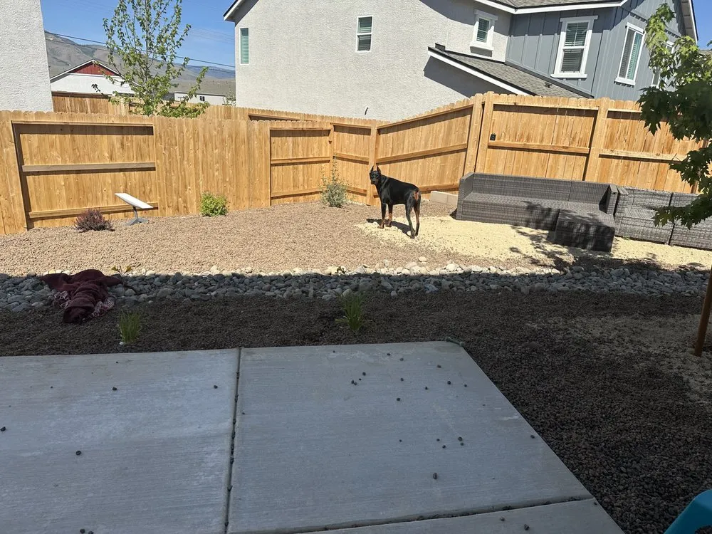 Top-rated yard maintenance experts serving Reno, NV - Tail Wagging Poop Patrol