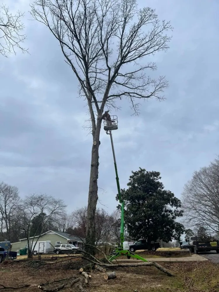 Trusted landscape installation with custom design in King, NC by Tailor Enterprise Lawn Care