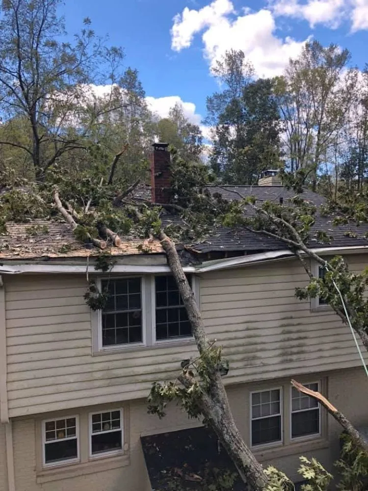 Local landscaping services for beautiful yards across King, NC - Tailor Enterprise Lawn Care