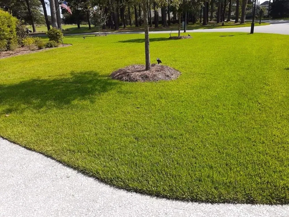 Professional yard maintenance in Guyton, GA by Tailor Made Lawns