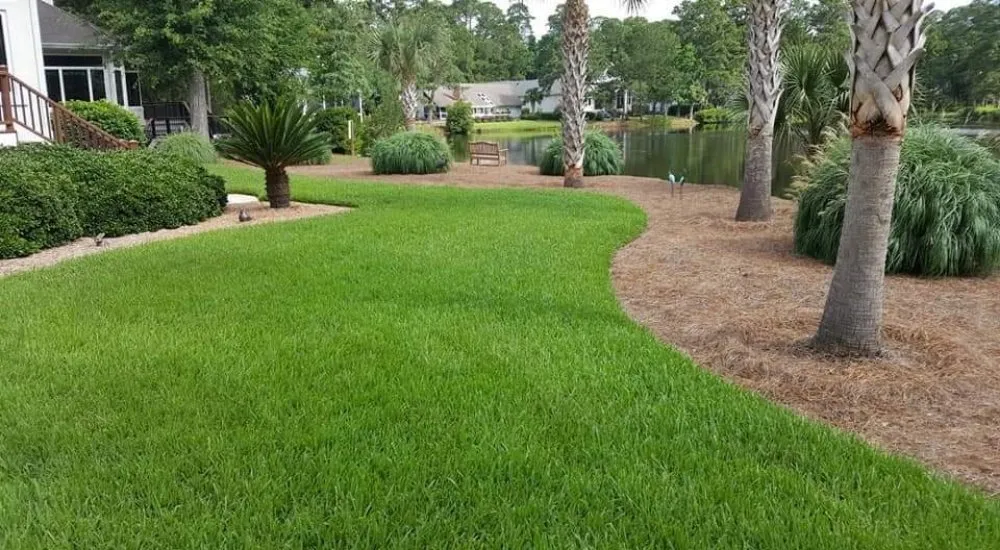 Trusted yard maintenance for residential properties across Guyton, GA - Tailor Made Lawns