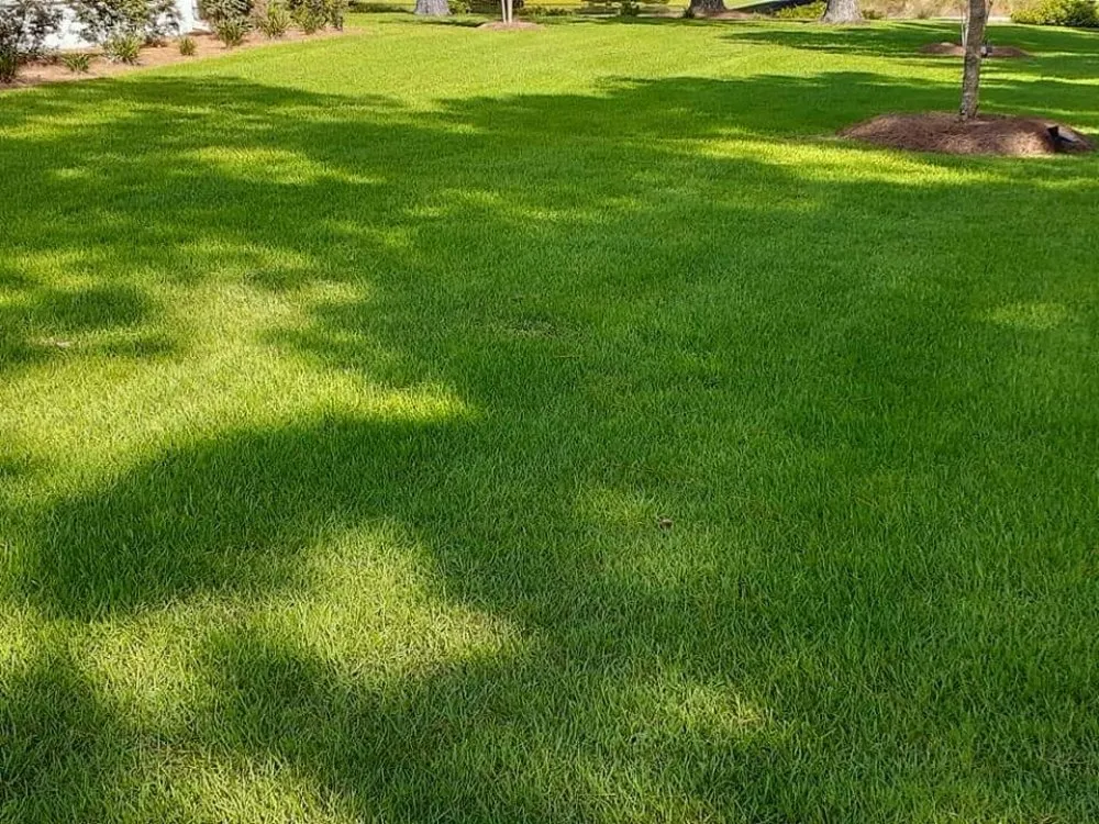 Affordable landscaping services in Guyton, GA - Tailor Made Lawns
